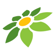 AI SAYAMA